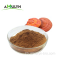 Extracto de hongos de Reishi Wild 4: 1 Reishi Mushroom Powder